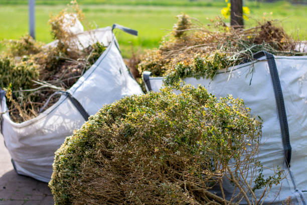 Best Household Junk Removal  in Goldthwaite, TX